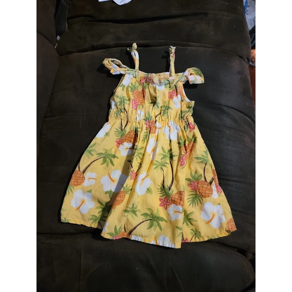 Gymboree pineapple family aloha sunshine floral dress size 18‎ 24 months